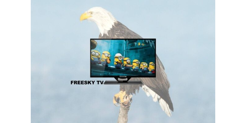 FREESKY TV V4.31 02-12-2019